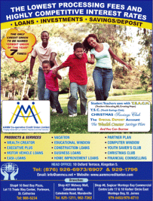 AA MM Credit Union GIF