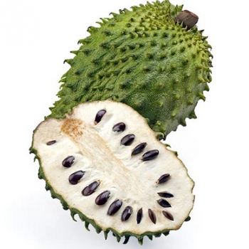 Jamaican Sour Sop Fruit