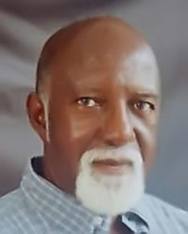 Professor The Honourable Mervyn Morris